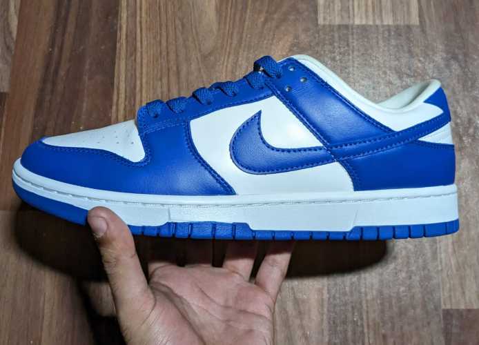 ua nike sb dunk low